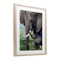 Stupell Industries Baby Elephant And Mother Framed Print Under Glass, design by James Corwin